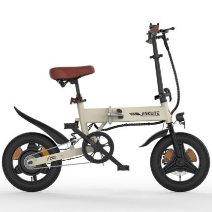 ESKUTE F200 250W city ebike, 36V 7.8AH，14-inch tire Foldable Electric Bicycle