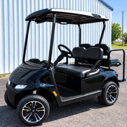 2025 E-Z-GO Valor EX1 Sport Gas PTV – black | High-Function, Low-Price | EX1 EFI Engine